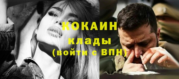 твердый Михайловка